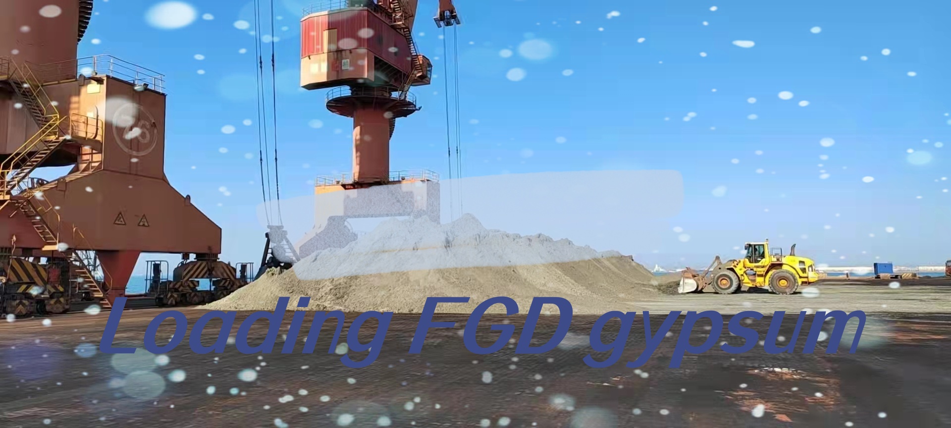 FGD Gypsum Export