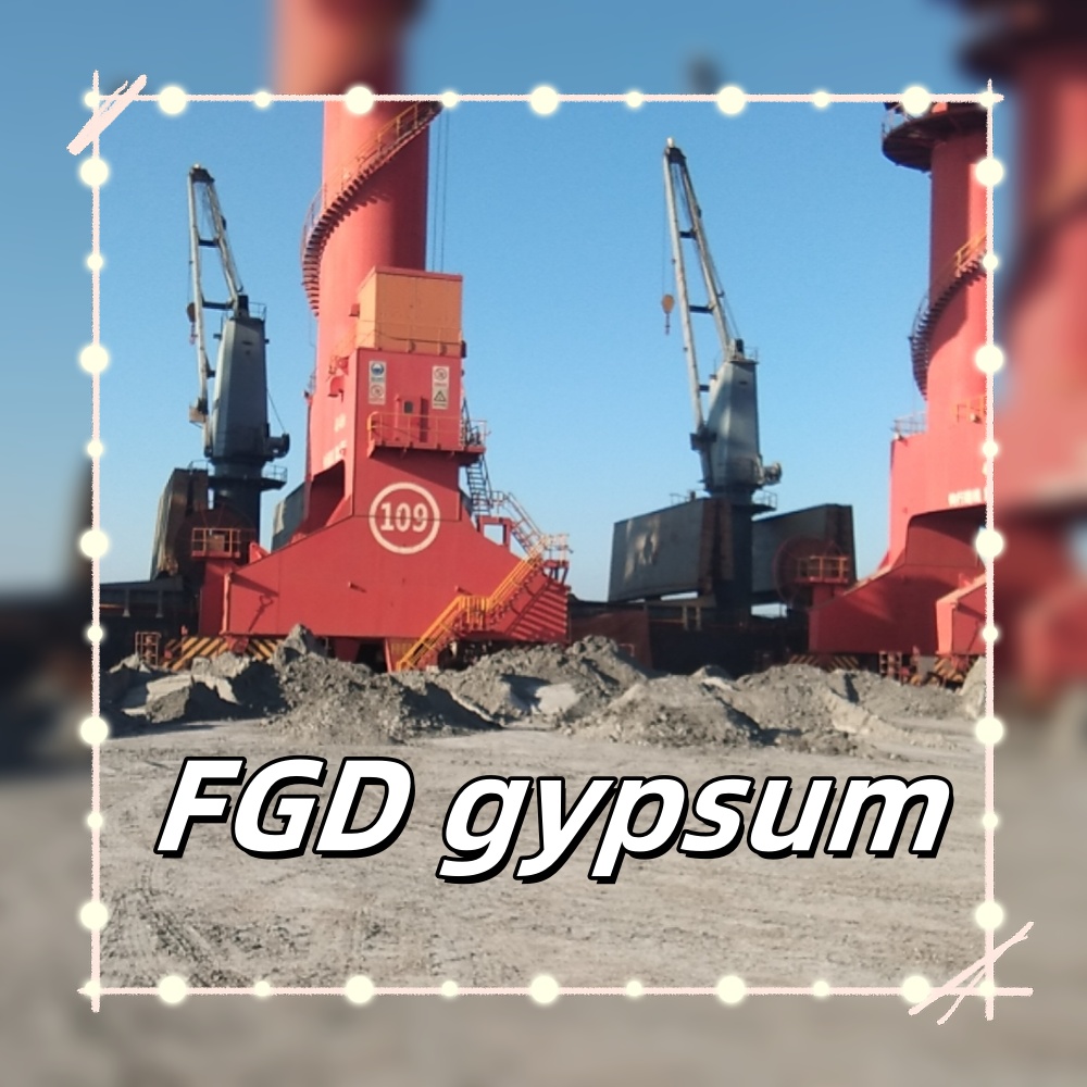 FGD Gypsum Export