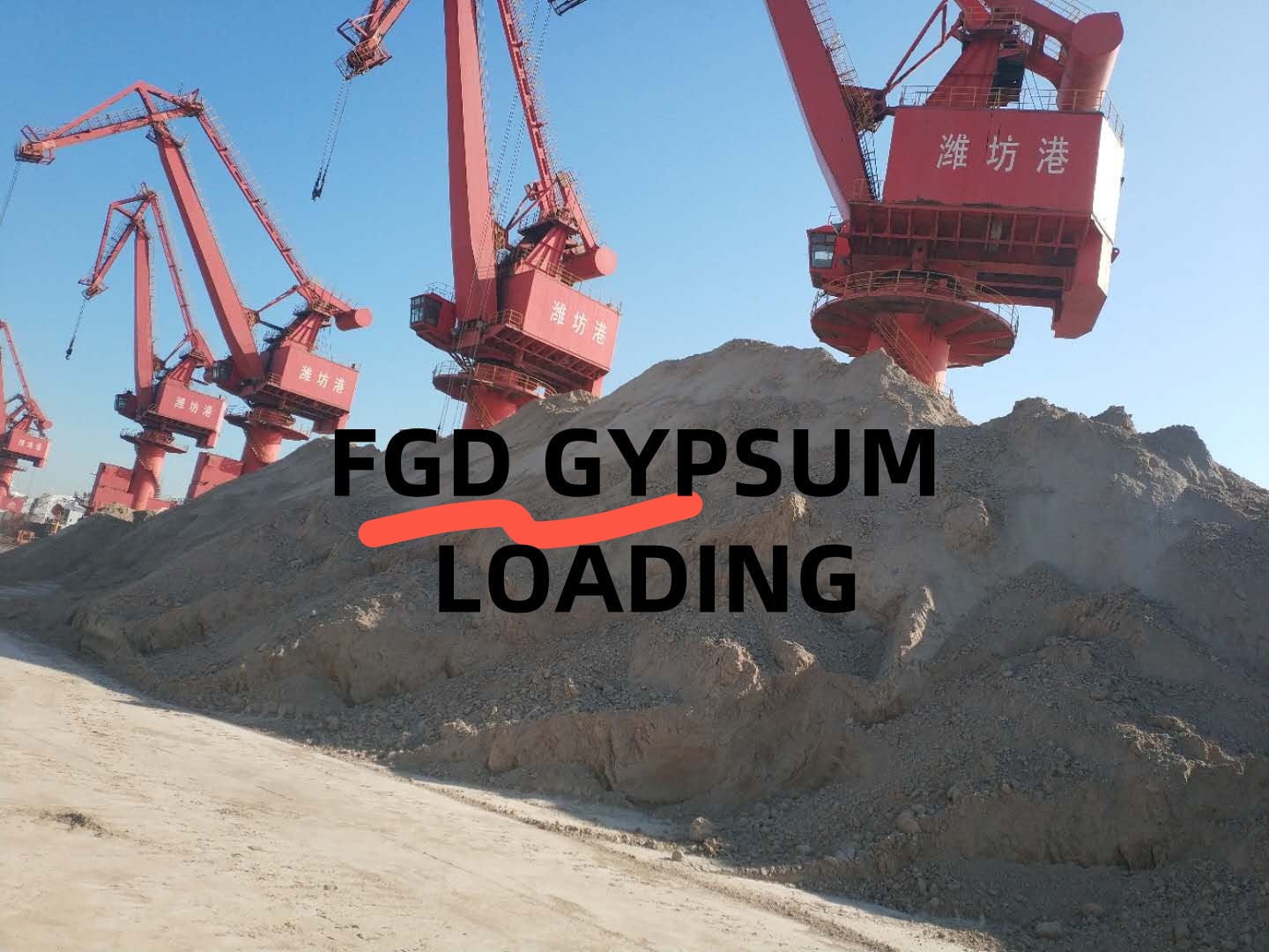 FGD Gypsum Export