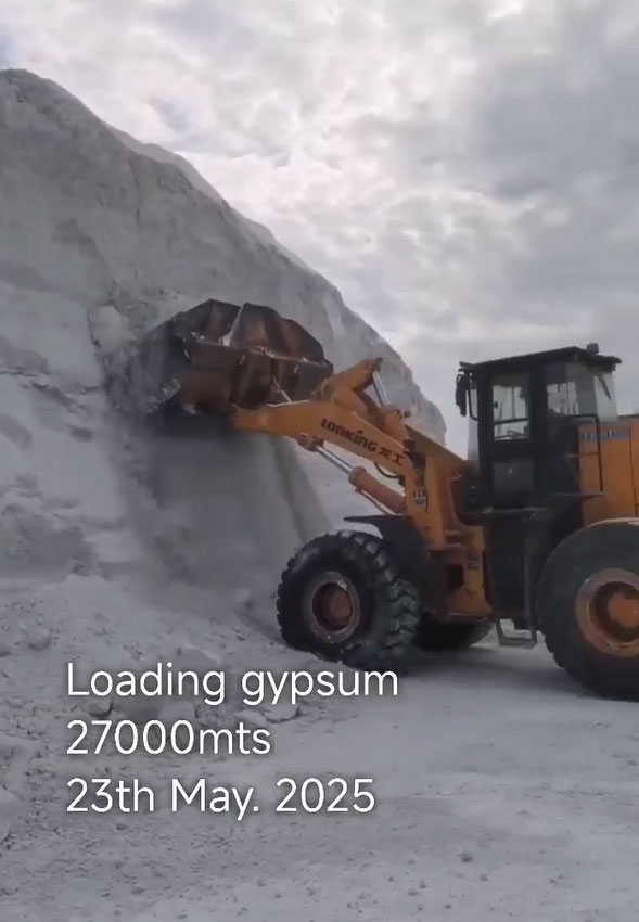 Loading gypsum to cement plant 27000mts